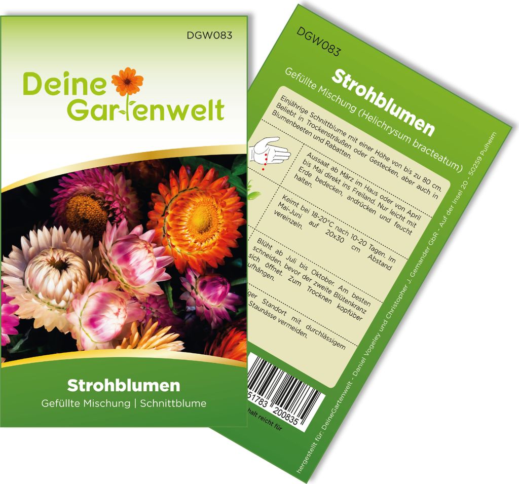 Strohblumen Gefüllte Mischung Samen - Helichrysum Produktbild 