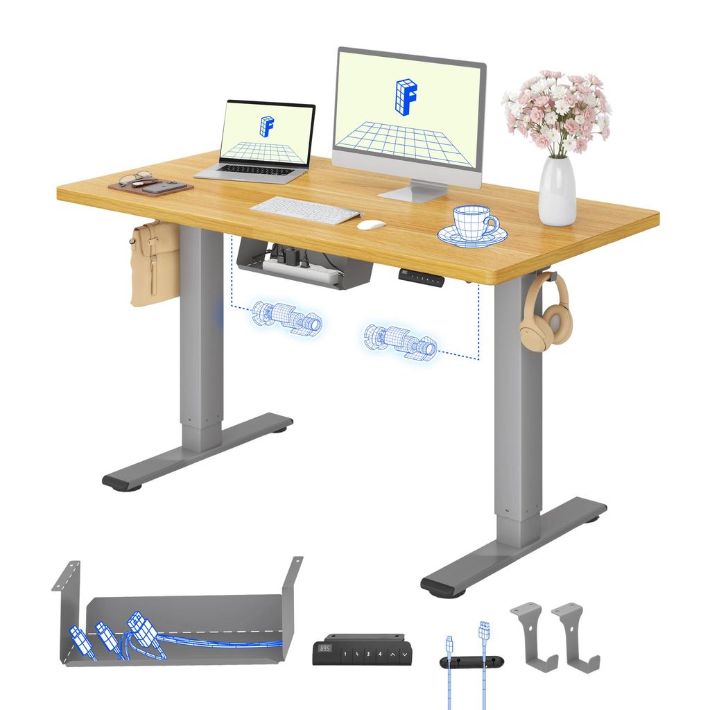 FLEXISPOT E1 Pro Elektrisch Höhenverstellbarer Schreibtisch Produktbild 