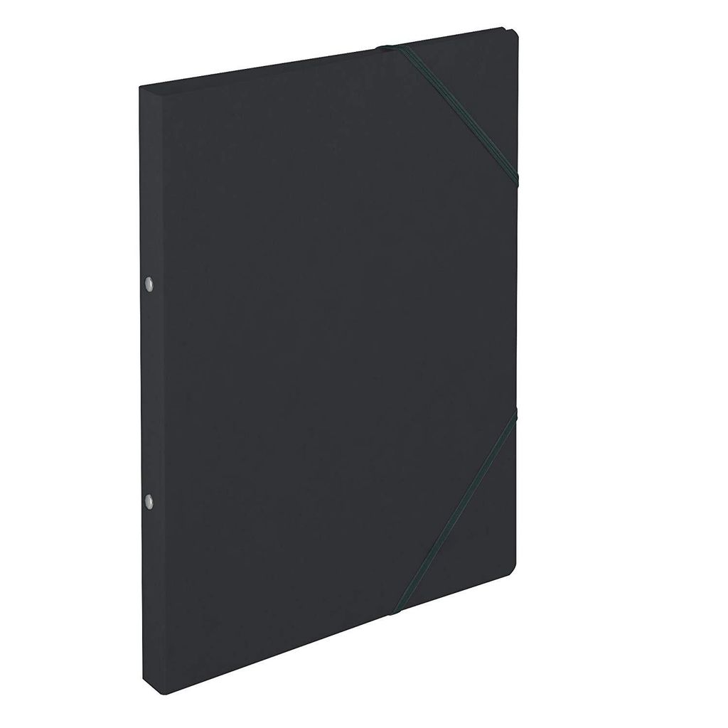 herlitz 11254398 Krúžkový zakladač easyorga, A4, kartón, Obrázok produktu 