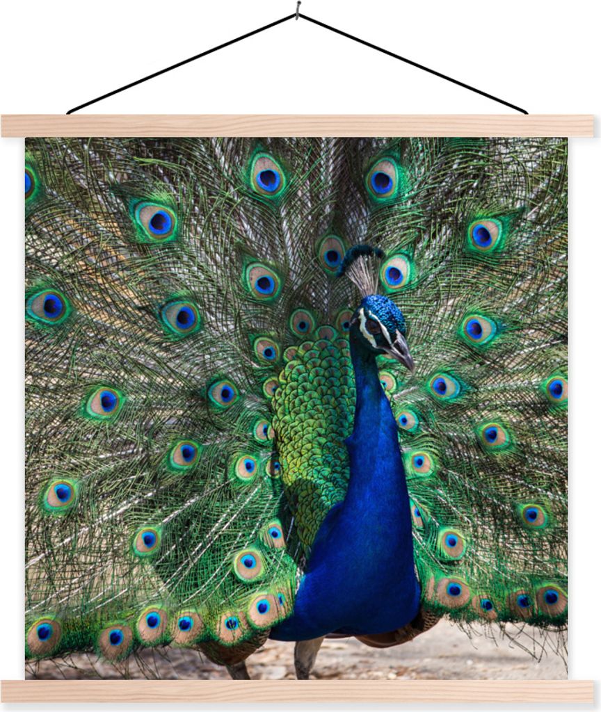 MuchoWow Textilposter Pfauenfedern - Grün - Blau 120x120 cm mit holzfarbenen Rahmen - Textil-Poster