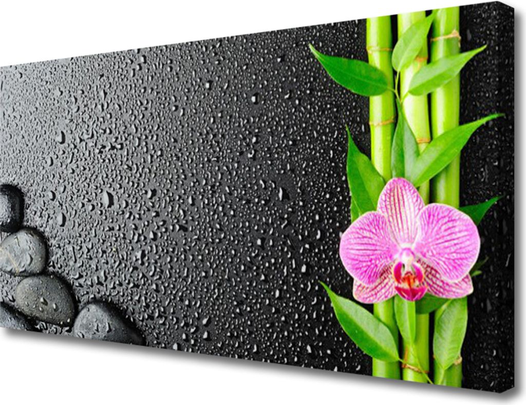 Tulup Leinwand-Bilder 100x50 Wandbild Canvas Kunstdruck Bambusrohre Blume Steine