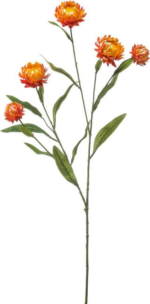 Xerochrysum Spray orange 70 cm Kunstpflanze Emerald