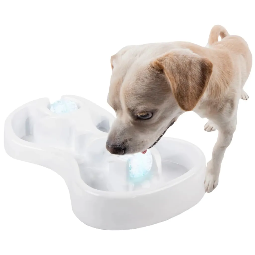Évitez le Coup de Chaleur : Gamelle Interactive de Glace afp pour Chien - 3