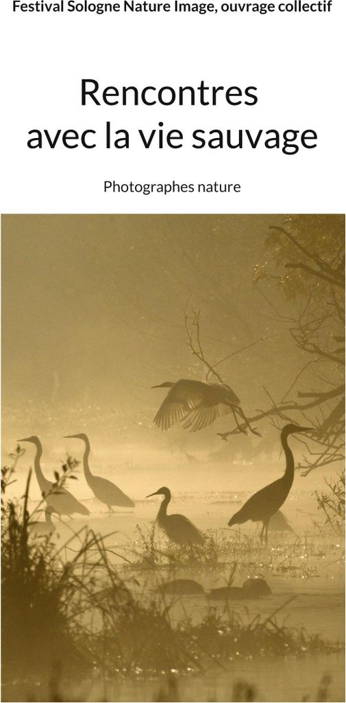 Begegnungen mit der Tierwelt