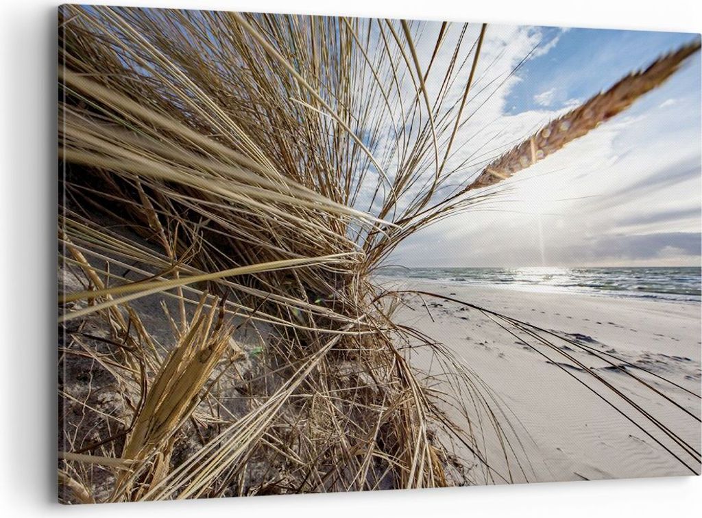 Bild auf Leinwand - Leinwandbild - Einteilig - Küste Perspektive Gras - 100x70cm - Wand Bild - Wanddeko - Wandbilder - Leinwanddruck - Bilder - Wa...