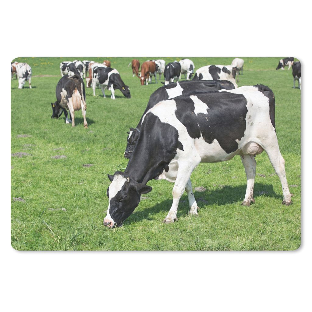 MuchoWow Schreibtischunterlage Kuh - Tiere - Gras - Sonne 60x40 cm - XXL Mauspad - Großes Mauspad