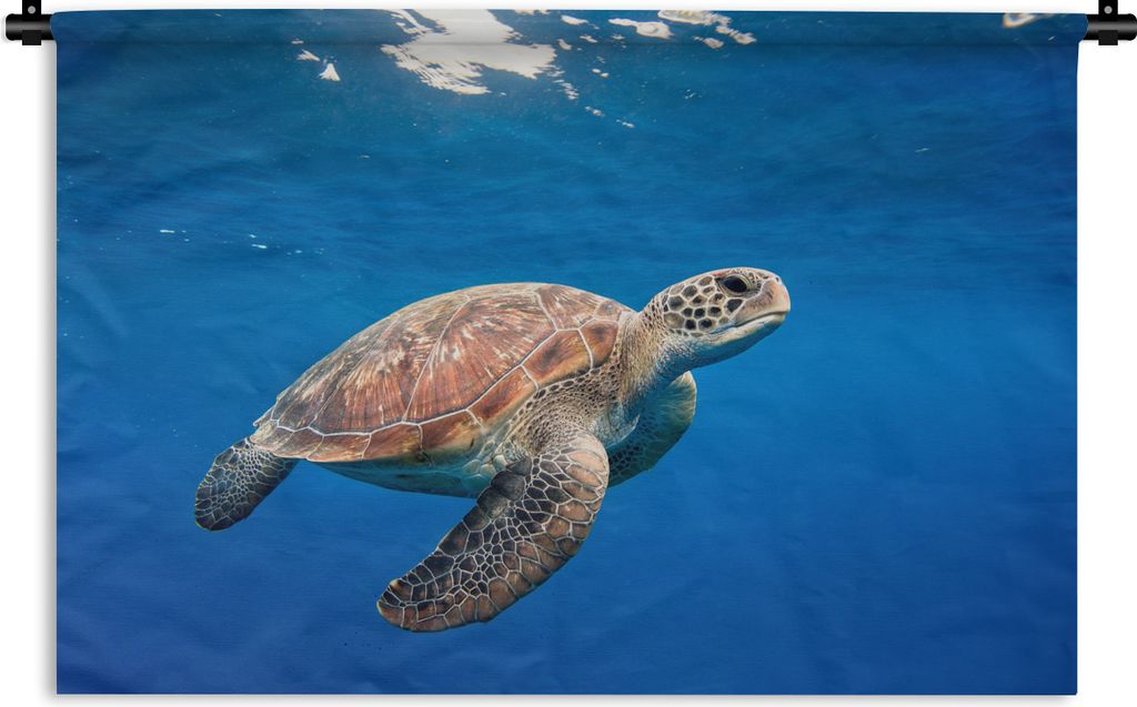 MuchoWow Wandteppich Wandbehang Schildkröte im Ozean 60x40 cm Tapisserie Dekoration Wandtuch - Wanddekorationen