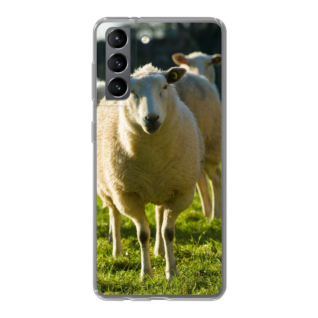 MuchoWow Handyhülle Schutzhülle Hülle für Samsung Galaxy S21 Schafe - Tiere - Wolle Silikon Softcase Handy Hülle - Softcase