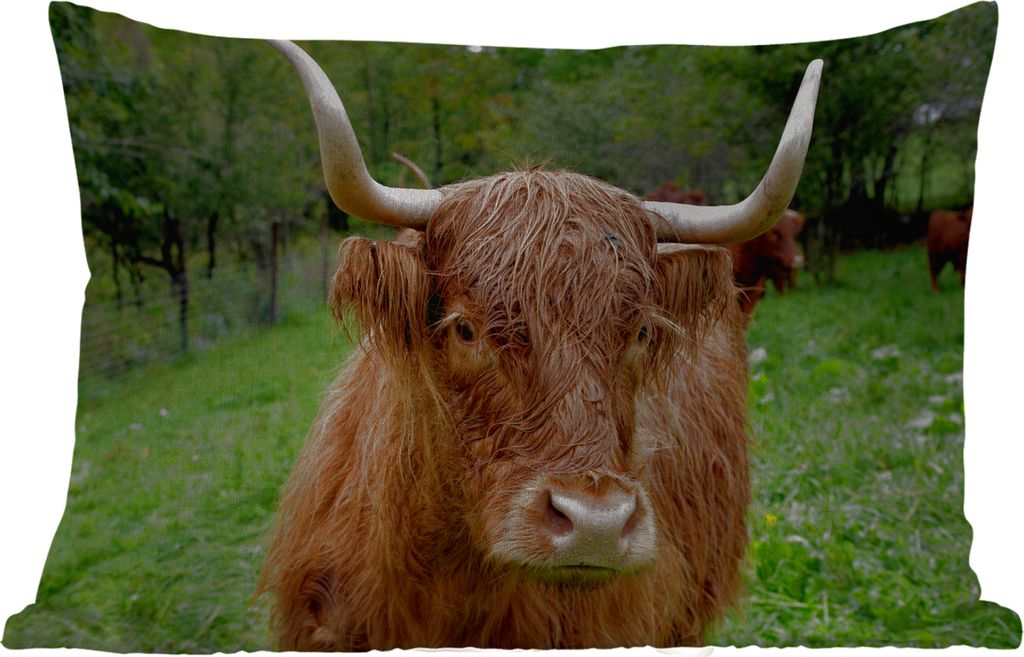 MuchoWow Outdoor Kissen - Schottische Hochlandrind - Tiere - Gras - 60x40 cm - Wetterfest - Lounge Kissen - Zierkissen - Kissen für Innenräume