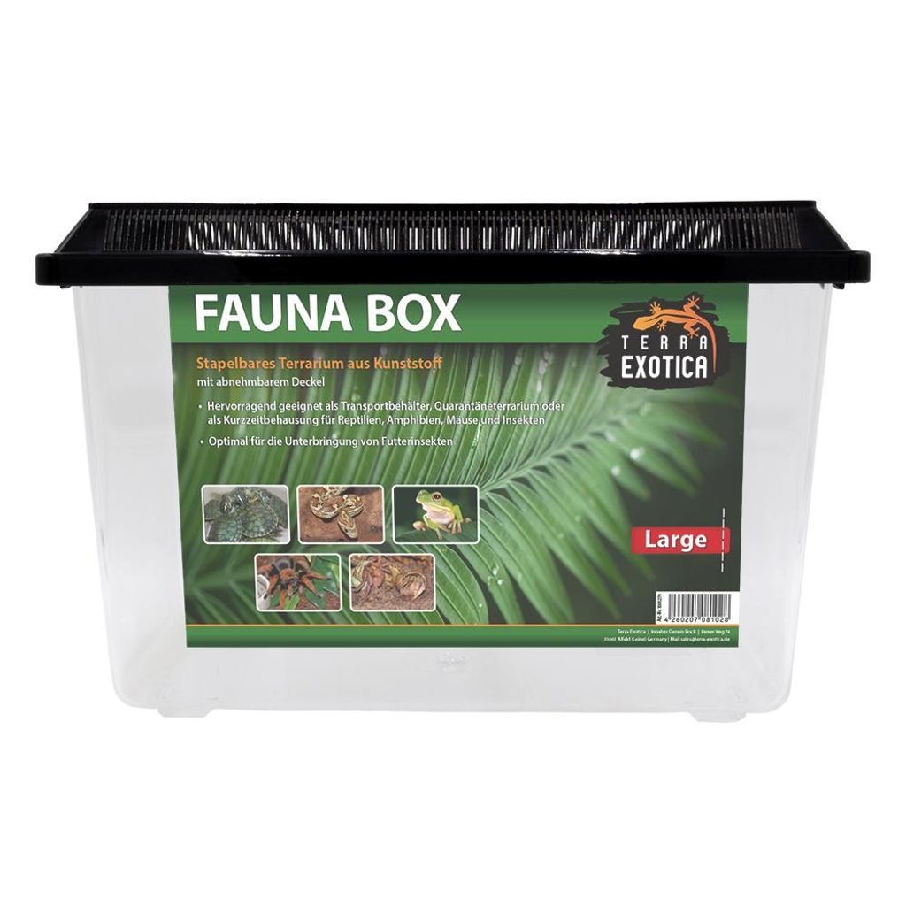 Fauna Box Large 37x22x24,5 cm – großes Kunststoff Terrarium Produktbild 