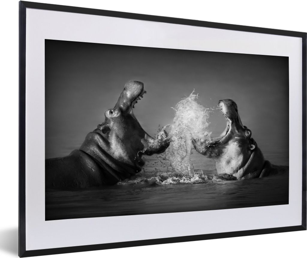 MuchoWow Gerahmtes Poster Tiere - Nilpferd - Wasser - Schwarz - Weiß 60x40 cm - Poster mit Schwarzem Bilderrahmen Wandposter Rahmen Foto Bilder ...