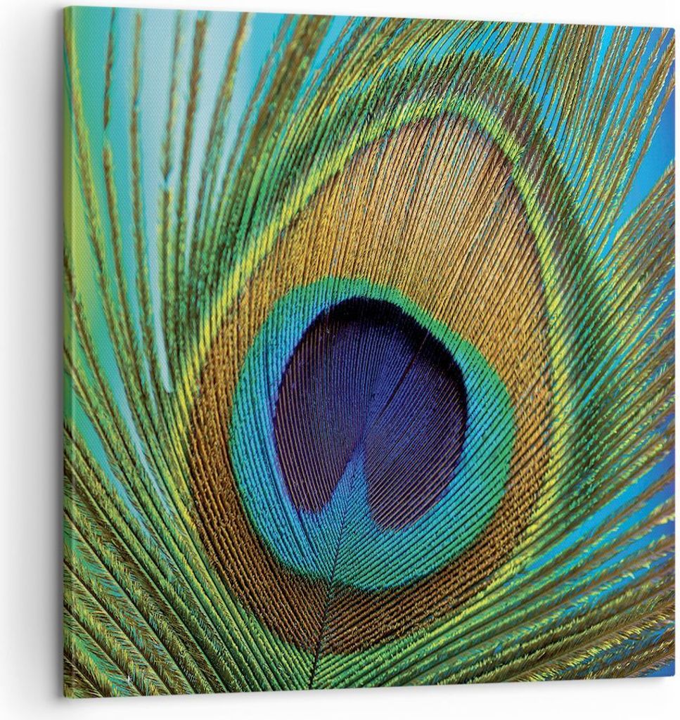 Bild auf Leinwand - Leinwandbild - Einteilig - Pfauen Federn Regenbogen - 60x60cm - Wand Bild - Wanddeko - Wandbilder - Leinwanddruck - Bilder - Wa...