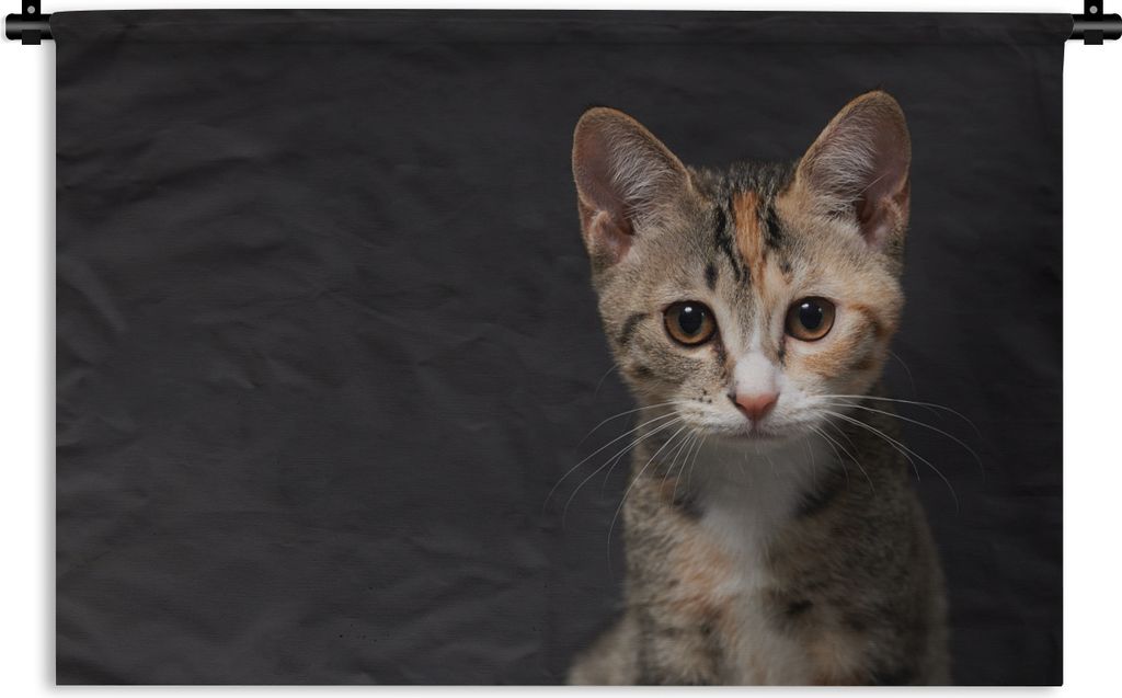 MuchoWow Wandteppich Wandbehang Katze - Schwarz - Porträt 120x80 cm Tapisserie Dekoration Wandtuch - Wanddekorationen - Wandtücher