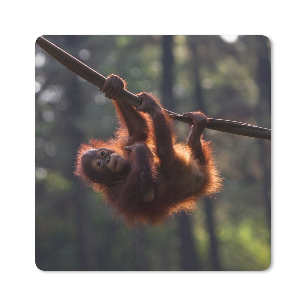 MuchoWow Mauspad Mousepad Junger Orang-Utan hängt an einem Ast 20x20 cm - Mousepads - Maus Mat - Pad - Mausunterlage - Desk Mat - Bureauartikeln