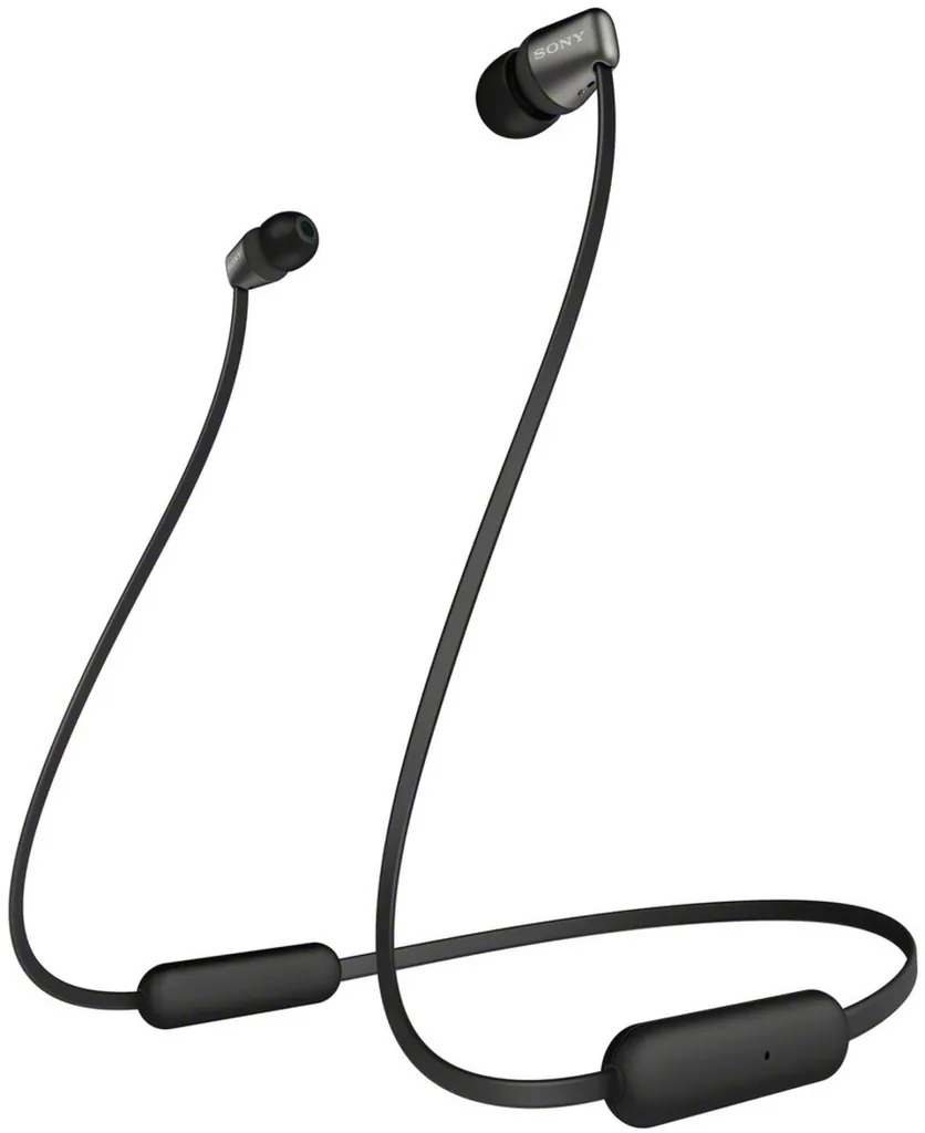 Sony WI-C310 Cuffie Bluetooth In-Ear - Ideali per Studio e Podcast
