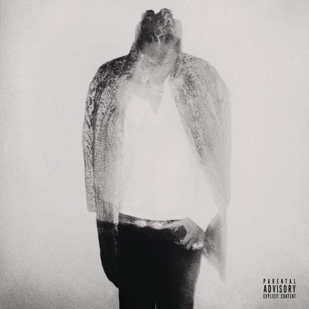 Futur-Hndrxx Vinyle pour Platine Salon - Idée Cadeau Musique Chill