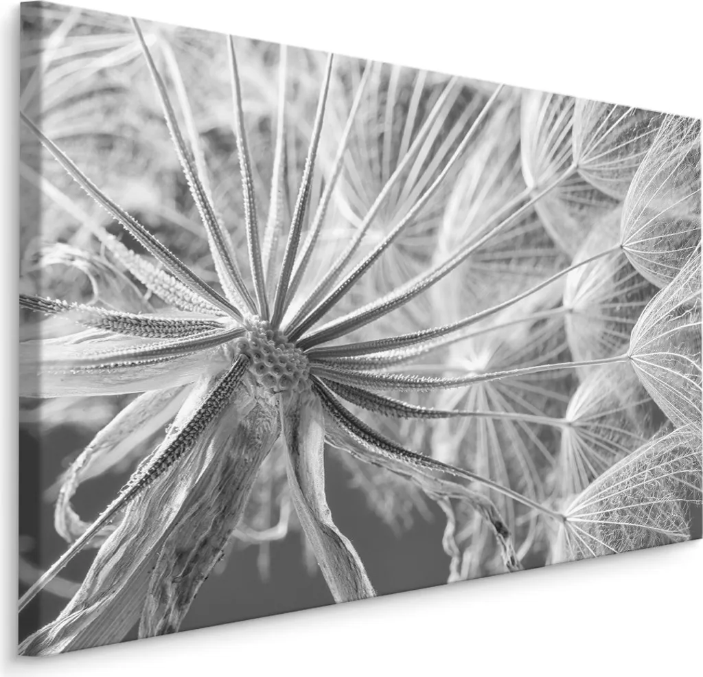 Decorazione Pareti Tela 90x60 Dente di Leone XXL | Stampa Fiori