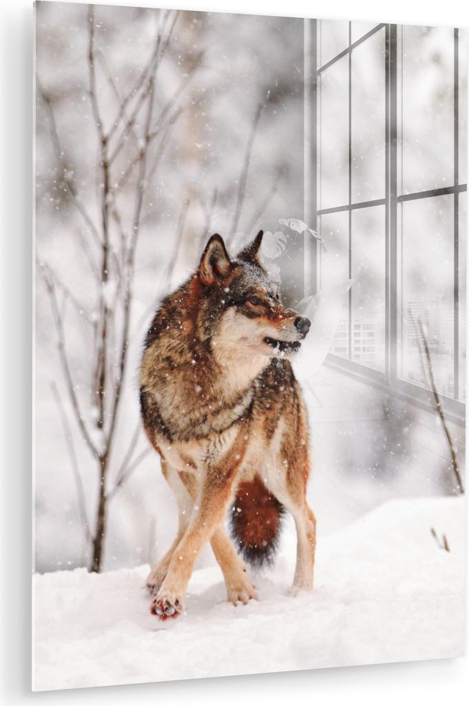 MuchoWow Glasbilder - Bilder auf Wandbild - Foto auf Glas Wolf - Winter - Schnee - Natur - Tiere 30x40 cm Wanddekoration aus Glas - Acrylglasbild -...