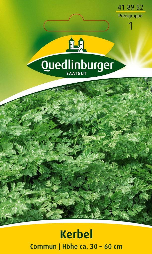 Quedlinburger Saatgut - Kerbel Commun - Samen - 418952 Produktbild 