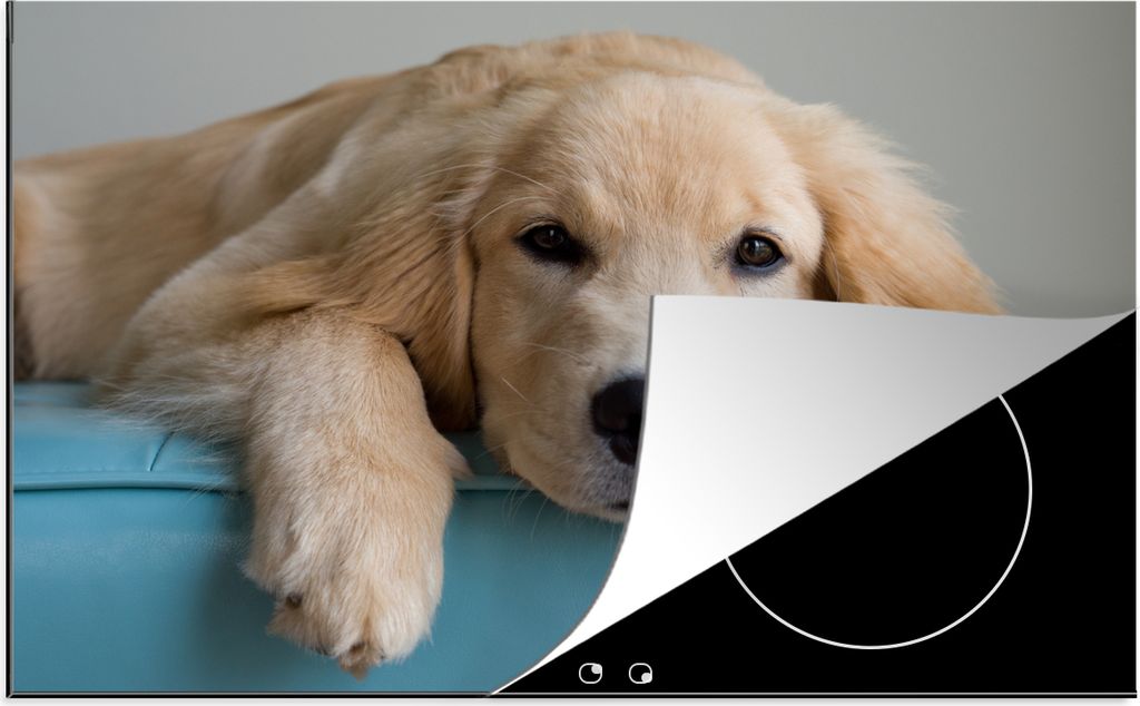 KitchenYeah Herdabdeckplatte Ein liegender Golden Retriever , 81x52cm, Küche Deko, Glaskeramikfeld Herdabdeckung, Abdeckplatte fùr Kochfeld