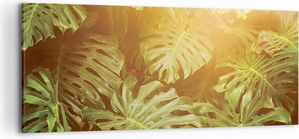 Bild auf Leinwand - Leinwandbild - Einteilig - Blätter Monstera Licht - 120x50cm - Wand Bild - Wanddeko - Wandbilder - Leinwanddruck - Bilder - Wa...