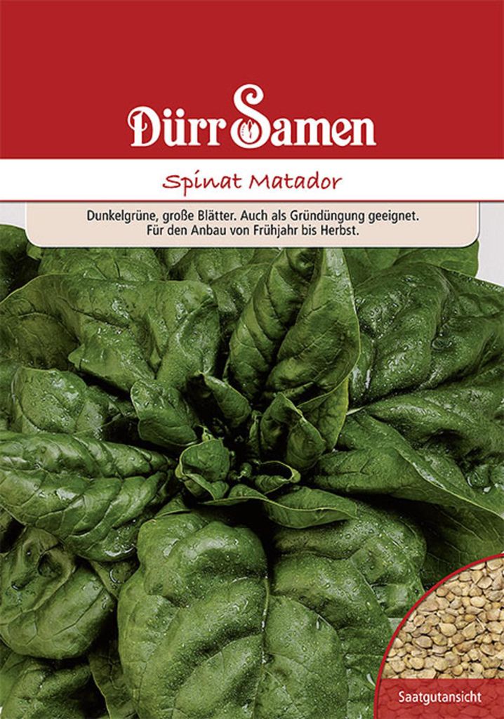 Dürr-Samen - Gründüngung Spinat Matador 250 g - Saatgut - 4076