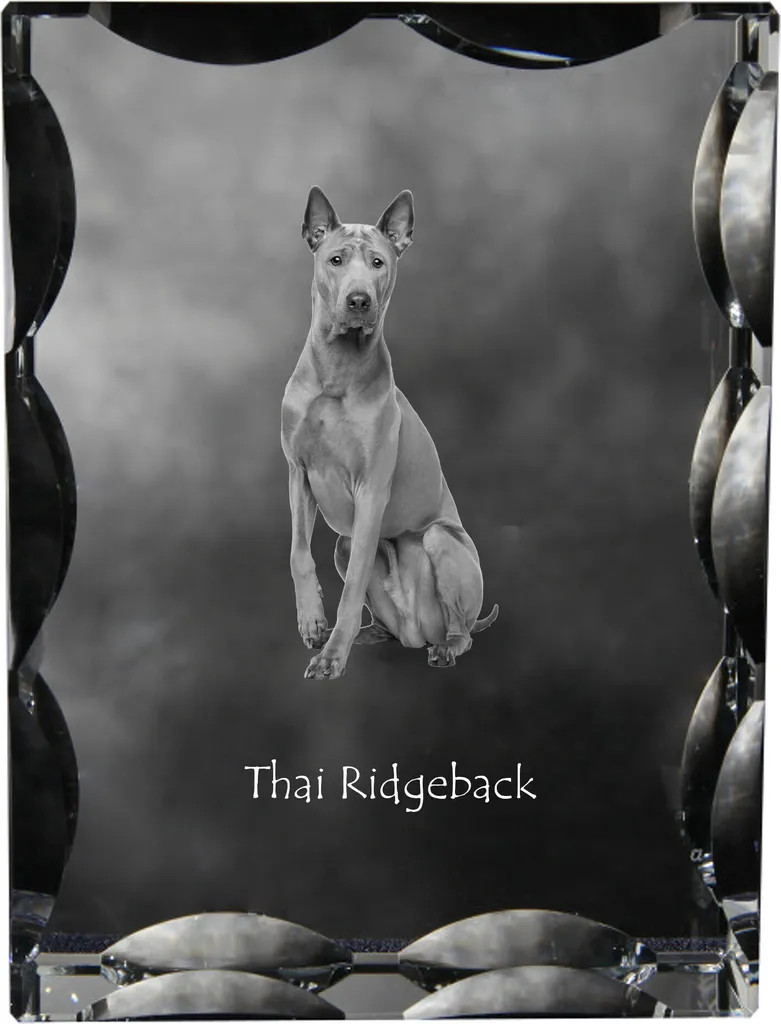 Art-Dog Thai Ridgeback Cristallo: Statuetta Vetro Foto Cane Unica