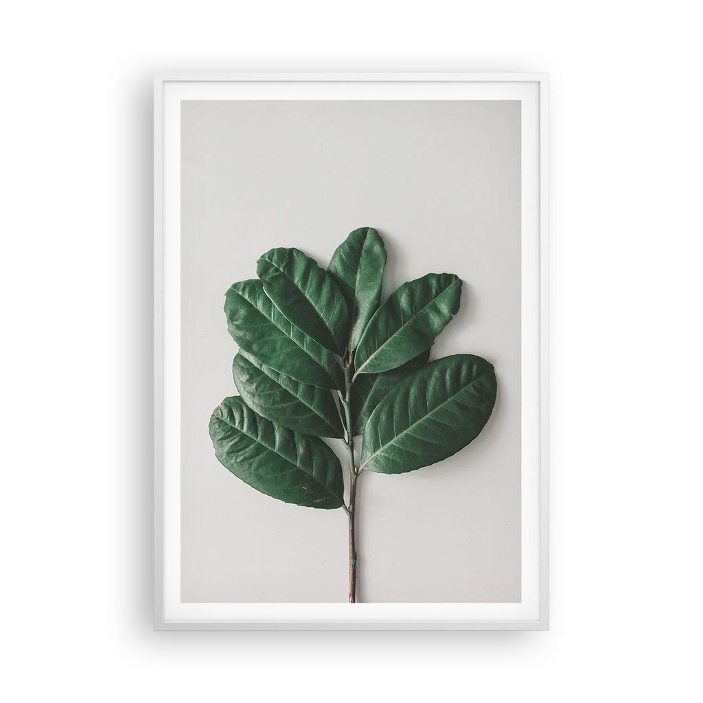 Gerahmtes Poster - Weißer Rahmen - Blätter Pflanzen Botanik - 70x100 cm - Wand Bild - Wanddeko - Wandbilder - Kunstposter - Wandposter - Bilderra...