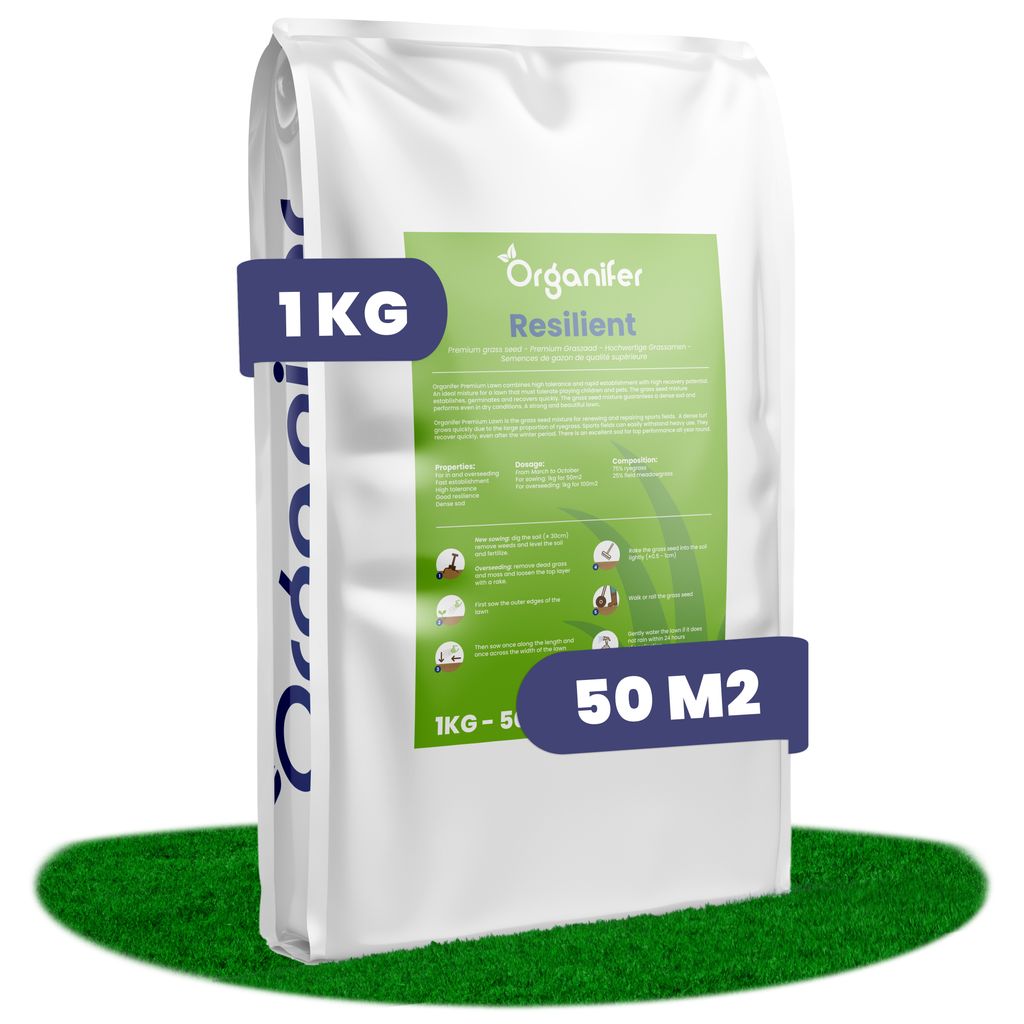 Opravné trávníkové semeno – Odolné (1 kg na 50 m2) - Obrázek produktu 