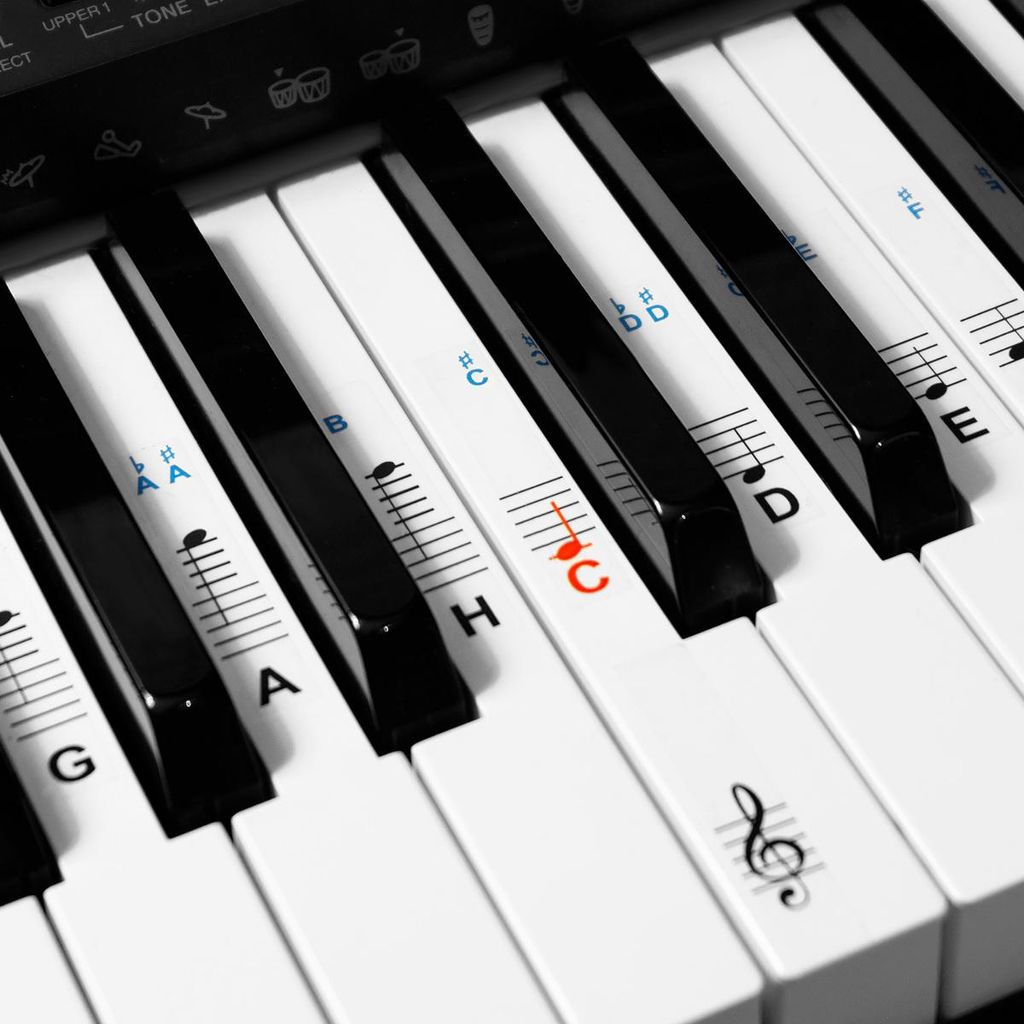 kwmobile Klavier Keyboard Noten Aufkleber - für 49 61 76 88 Produktbild 