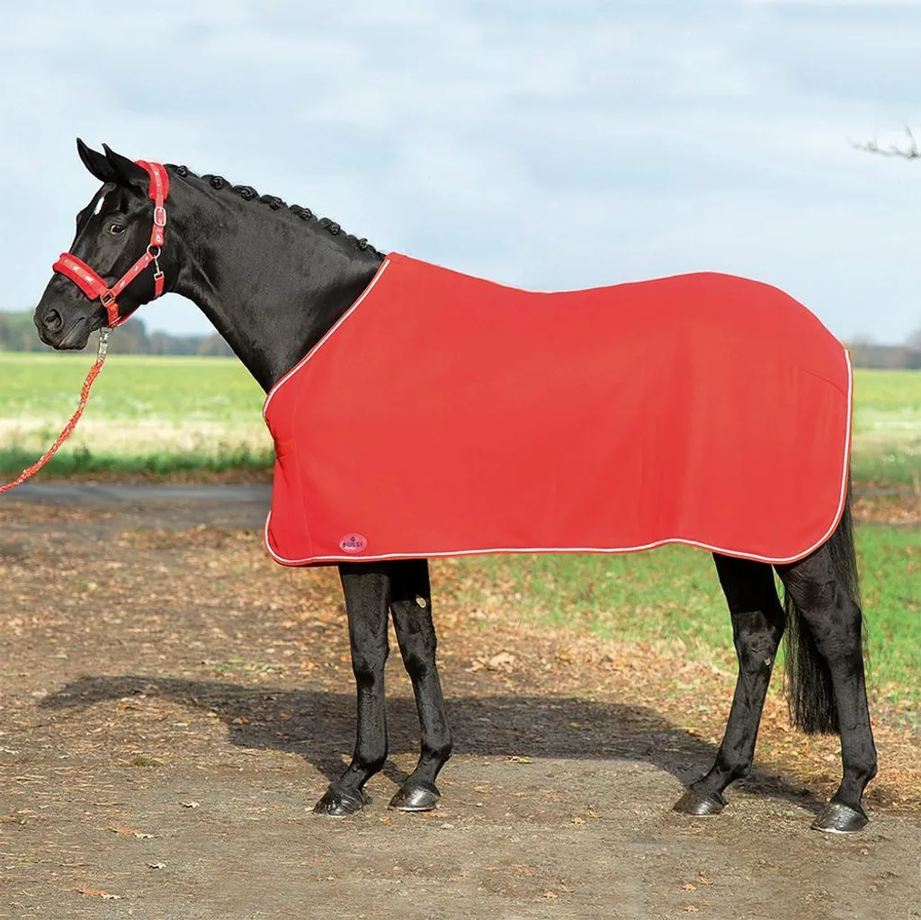 Couverture séchante cheval Busse Show rouge liseré argent élégant
