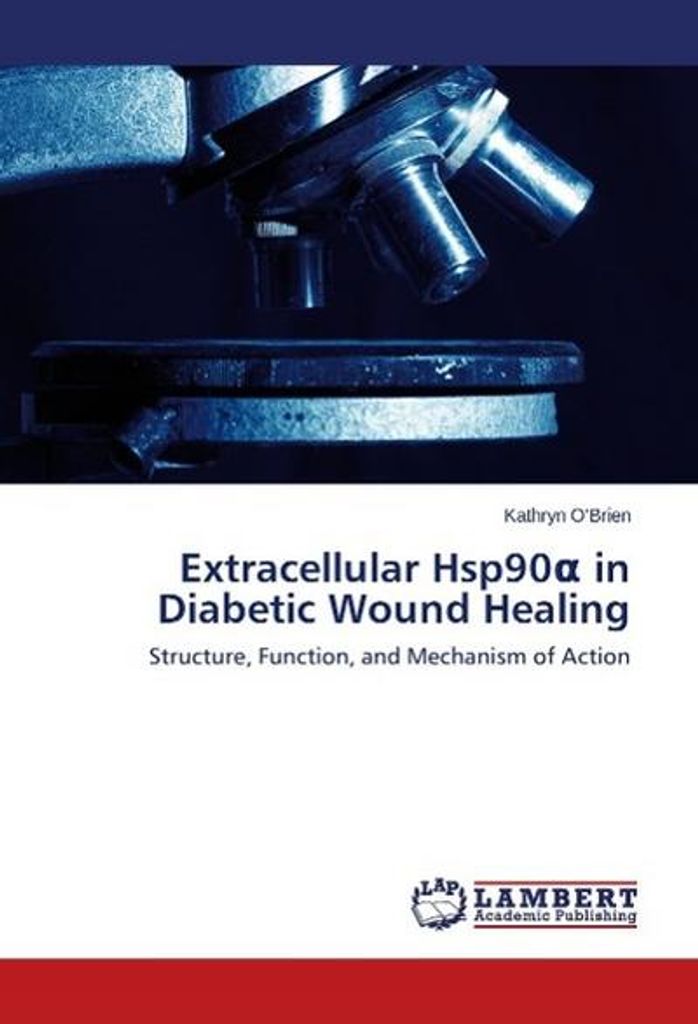Extracellular Hsp90a in Diabetic Wound Healing