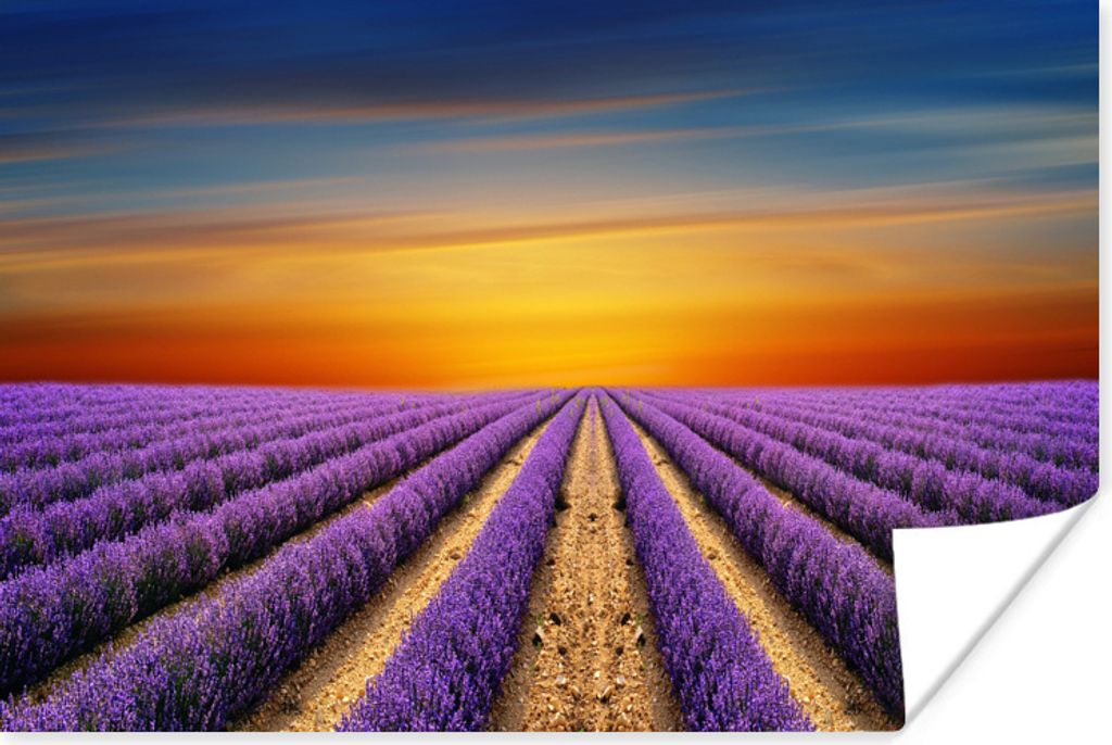 MuchoWow Poster Ein großes Lavendelfeld mit einem bunten Himmel 120x80 cm - Bilder