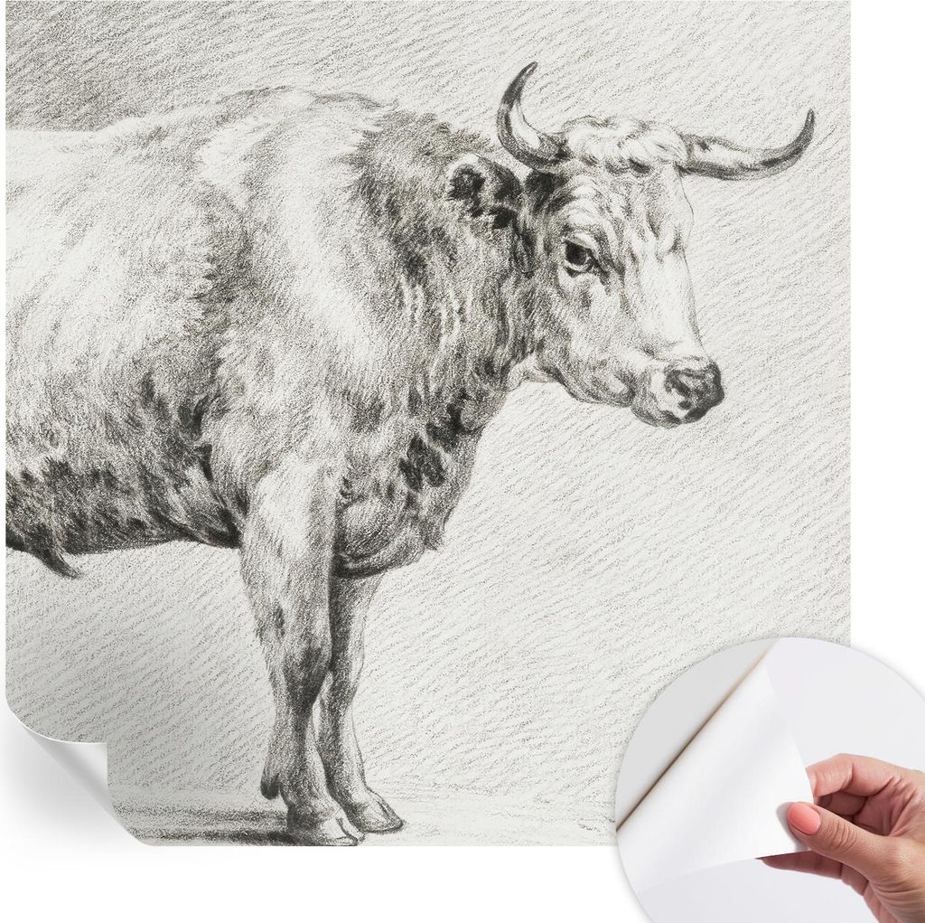 Selbstklebende Wandtapete - Dekorative Tapete für Wohnzimmer - Klebefolie für Wandbilder - Tapetenfolie für Wanddekoration - 250x250 cm - Bullen...