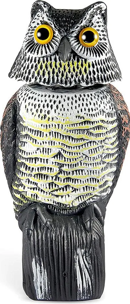 Hibou Grand-Duc Repousse-Oiseaux à Tête Pivotante 360° en PE Résistant