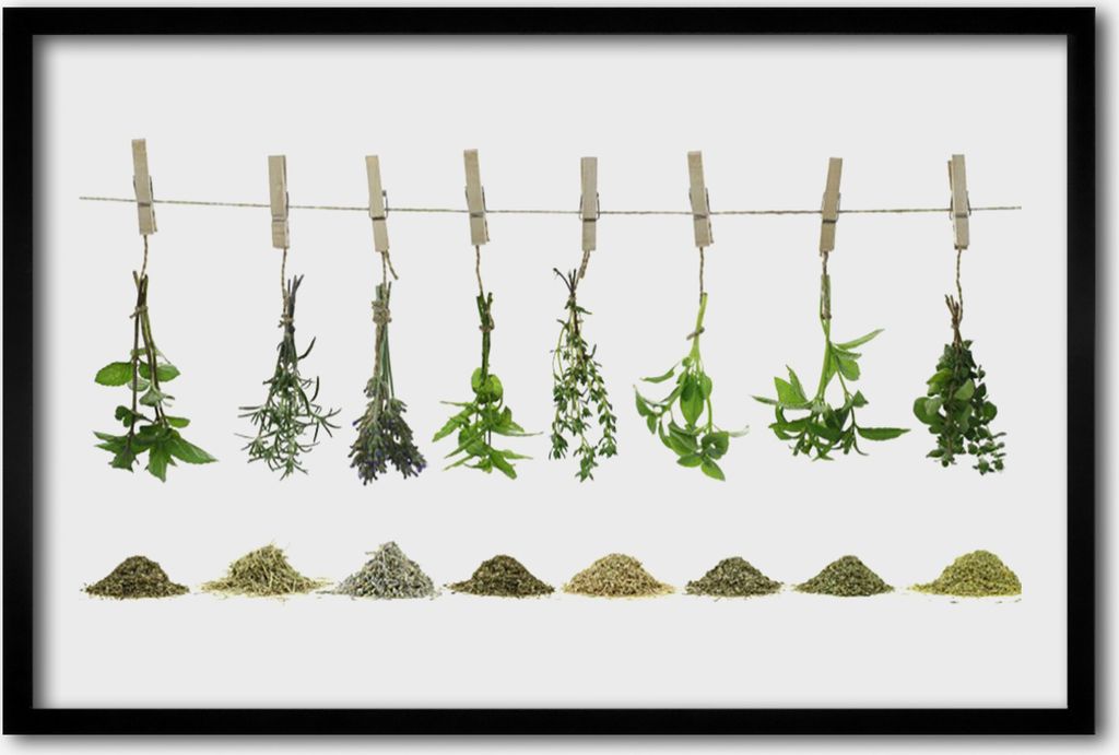Bild 60x40 MDF-Rahmen Wandkunst Blumen Pflanzen Natur