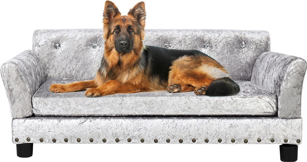 A German Shepherd dog is lying on a silver crushed velvet sofa designed for pets.