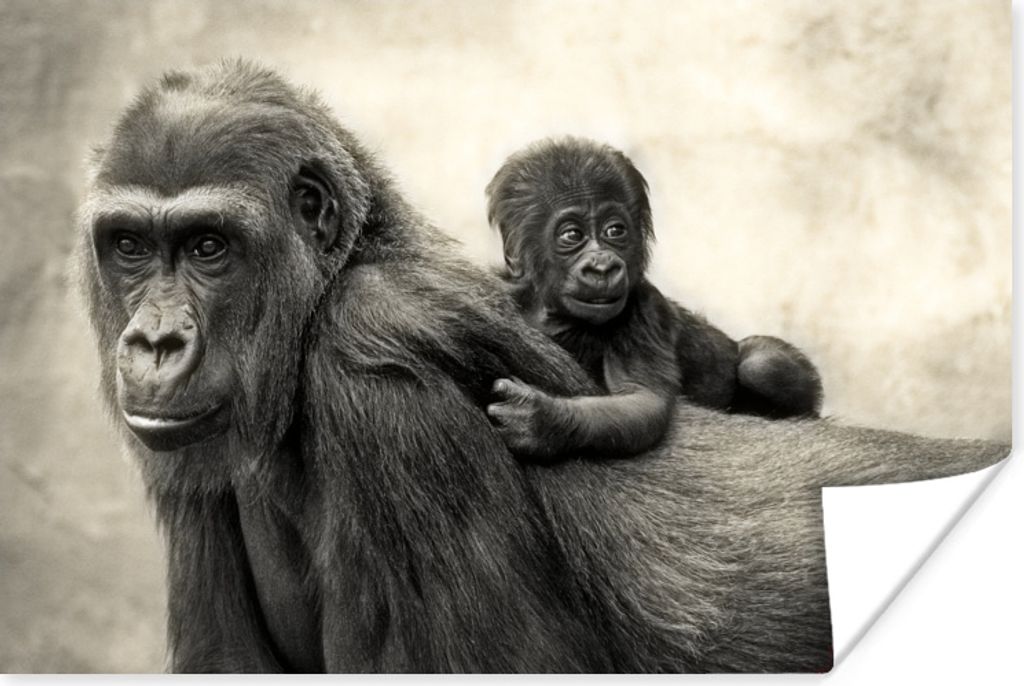 MuchoWow Poster Illustration Gorilla mit Jungtier 90x60 cm - Schlafzimmer