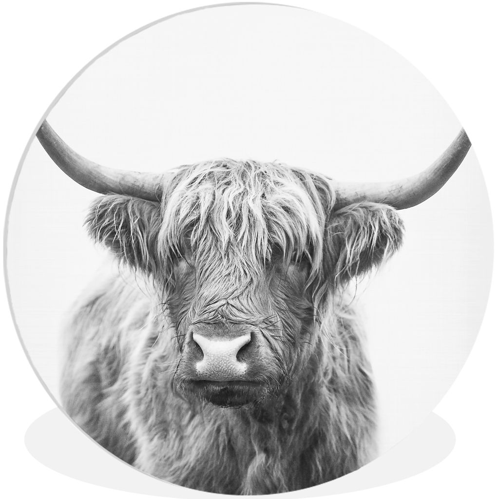 MuchoWow Rundes Wandbild - Runde Bilder Schottischer Highlander - Tiere - Hörner - Schwarz und weiß Ø 60 cm Kreis Wanddekoration Kunststoff - ...