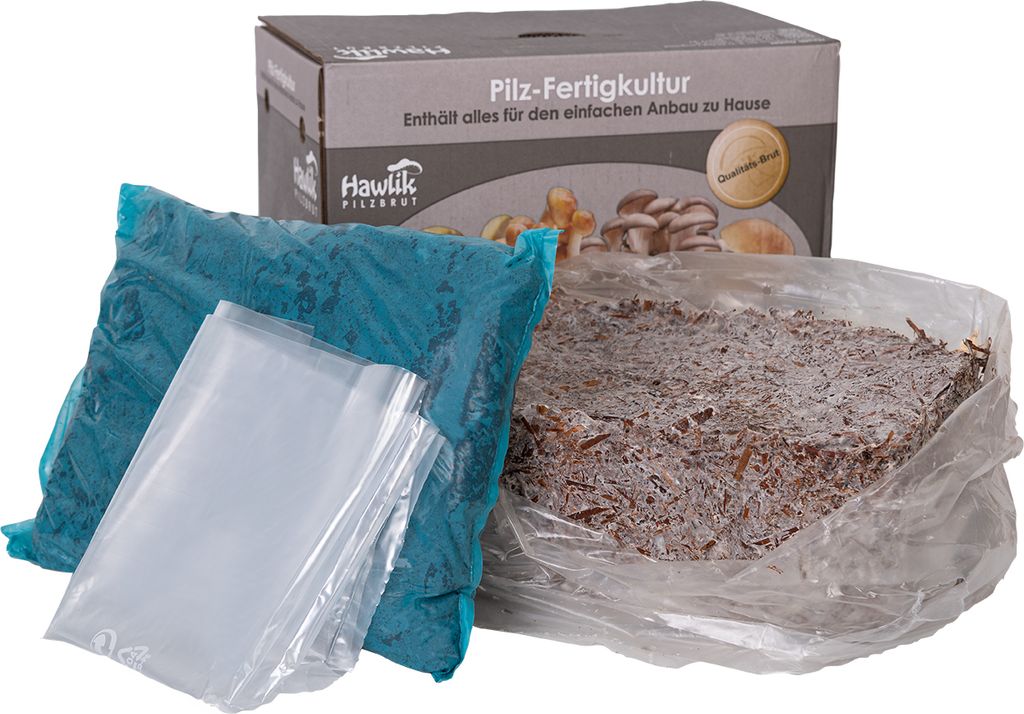 Hawlik Pilzbrut Champignon Mix Probierset klein – Pilze Produktbild 