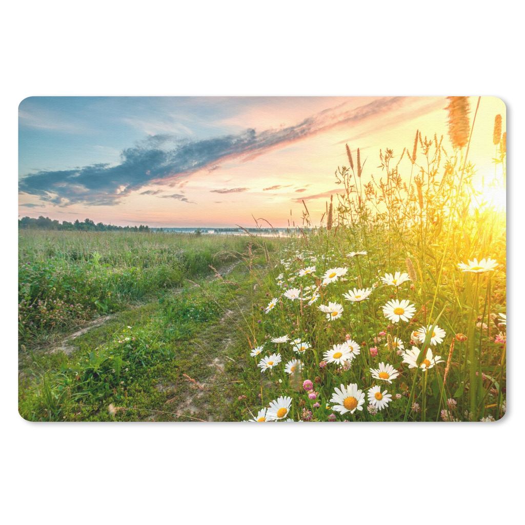 MuchoWow Schreibtischunterlage Blumen - Gänseblümchen - Natur - Sonne - Horizont 60x40 cm - XXL Mauspad - Großes Mauspad