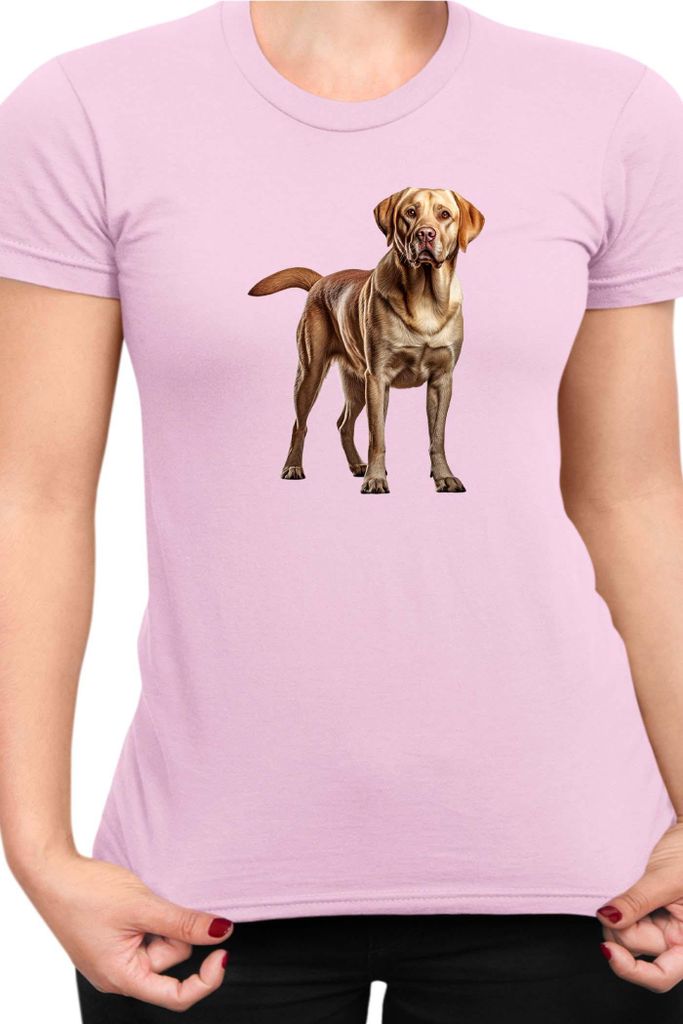 Damen T-Shirt Dogs Breeds Labrador Retriever Dog Breed 005, Lady XL / Hellrosa