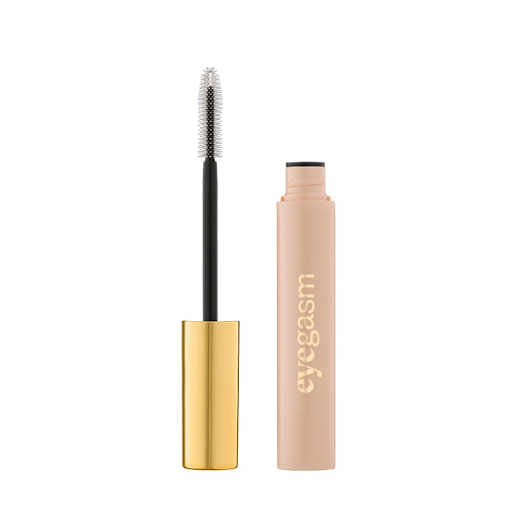 A mascara wand and its tube are displayed against a white background.