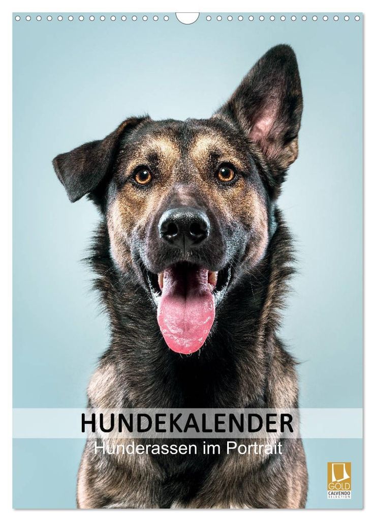 Hundekalender - Hunderassen im Portrait (Wandkalender 2027 DIN A3 hoch), CALVENDO Monatskalender