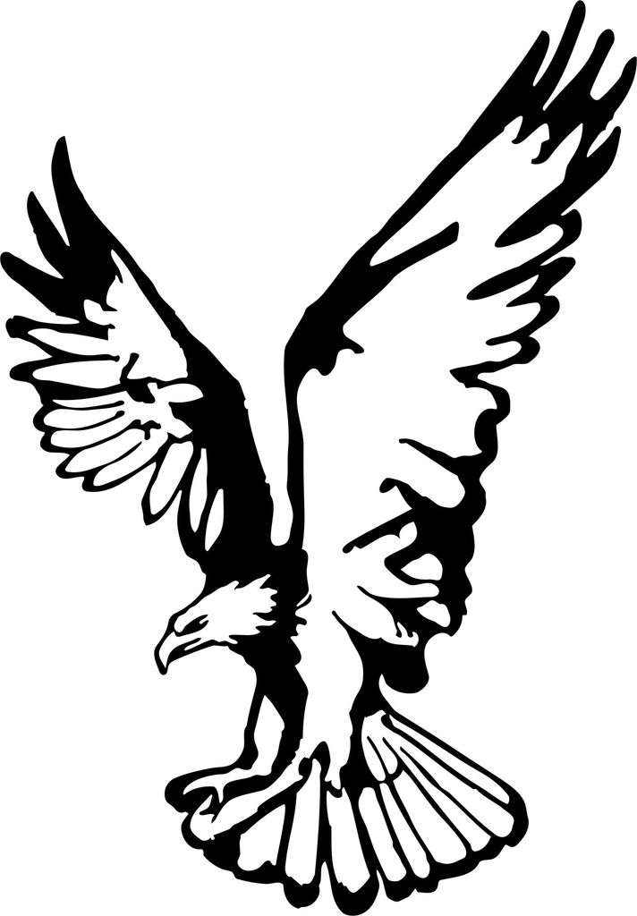 KFZ-Aufkleber, ADLER, Greifvogel /Autoaufkleber