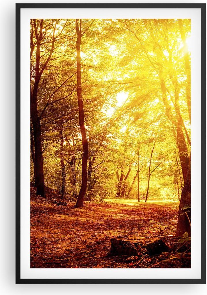 Gerahmtes Poster - Schwarzer Rahmen - Wald Baum Natur - 61x91,5 cm - Wand Bild - Wanddeko - Wandbilder - Kunstposter - Wandposter - Bilderrahmen - ...