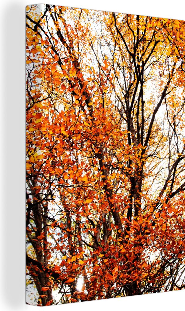 OneMillionCanvasses - Leinwandbilder - 90x140 cm, Wald - Herbst - Jahreszeiten, Wandbilder Kunstdruck Wanddekoration - Foto auf Leinwand - Gemäl...