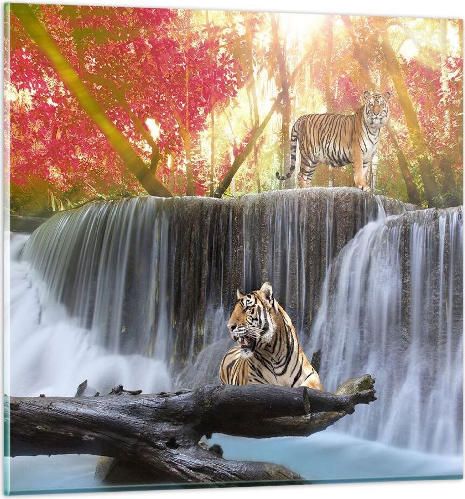Bilder auf glas - Tiger natur tier paradies - 60x60cm - Glasbilder - Wandbilder - Kunstdruck - zum Aufhängen bereit - Wanddekoration aus Glas - Gl...