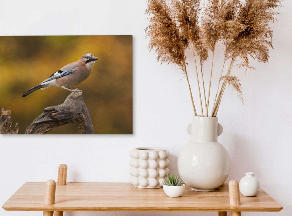 MuchoWow - Leinwandbilder - Vogel - Zweig - Eichelhäher, Wandbild, Wanddeko Bilder Wohnzimmer, 40x30 cm