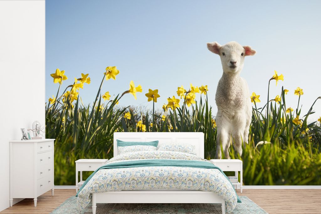 MuchoWow Fototapete für Wohnzimmer oder Schlafzimmer Wandtapete Vinyl Motivtapete Lamm - Blumen - Narzissen - 390x260 cm - Papiertapete